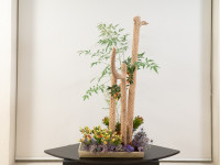 Ikebana en Museo Ralli 2022